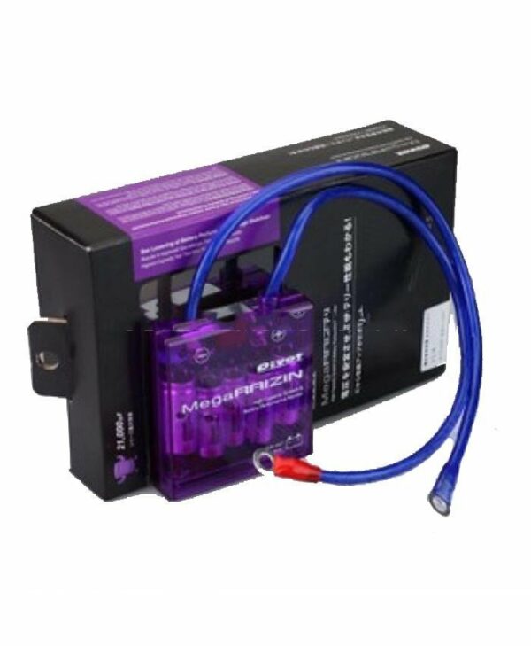 RAIZIN 90% Car Voltage Stabiliser